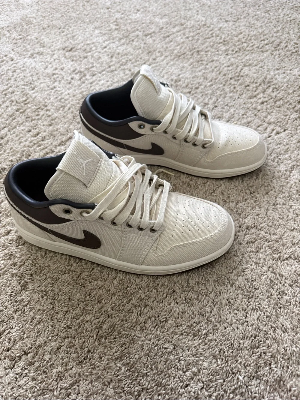 Air Jordan Low-Top Sneakers in Cream and Brown